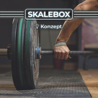 Skalebox Softwareauswahl & Einrichtung - Skalice GmbH