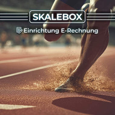 Skalebox: E-Rechnung einrichten lassen: Produkt von Skalice